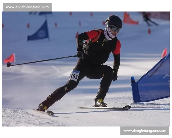 激情冰雪之巅全球滑雪锦标赛巅峰对决盛典暨冬季运动荣耀时刻华章